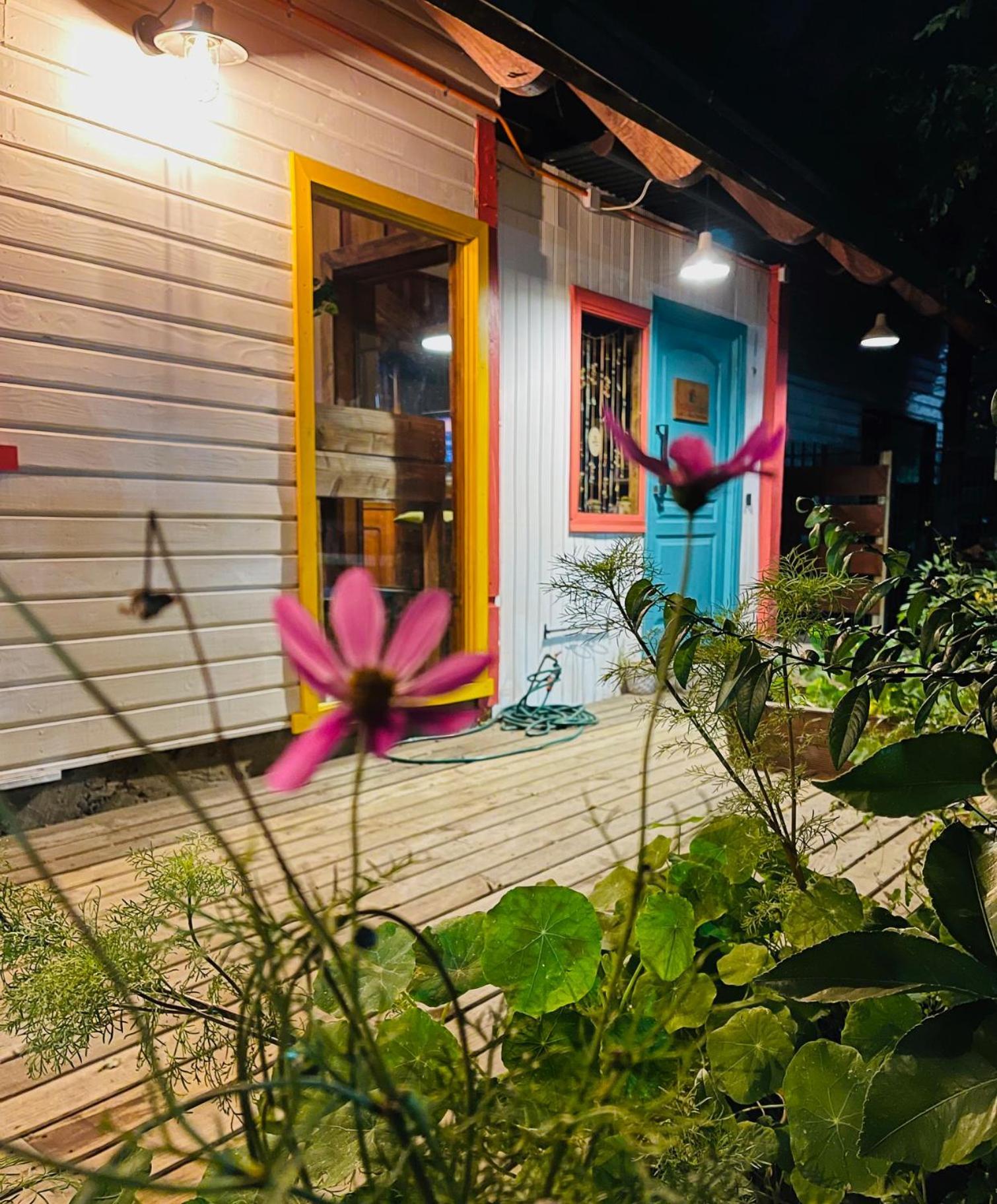 La Araucaria Hosteria Boutique - Ex Lounge Brasil Pucón Esterno foto